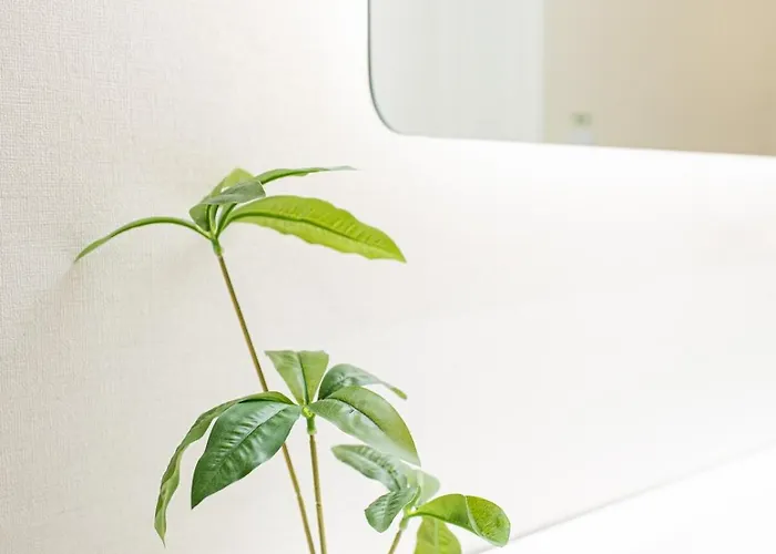 Appartement New#홍대역9분#1층 단독숙소,2룸,3베드,최대5인#명동#광화문#용산#경복궁#bts#셀프체크인#hongdae#yeonnam#망원시장 Séoul